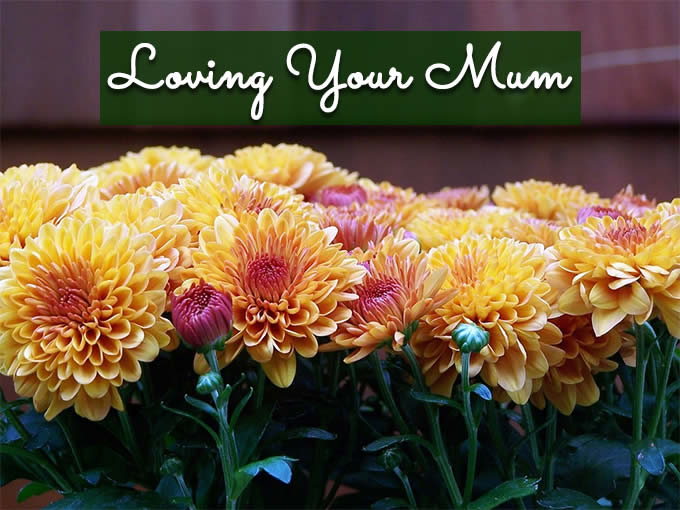 Loving Your Mum