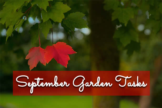 september garden tasks